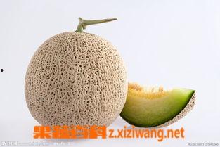 孕妇早期吃蜜瓜,早期食用益处多  第1张