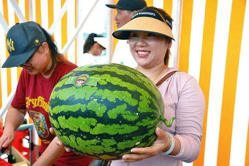 开心吃瓜人,畅享人生百态 第2张 开心吃瓜人,畅享人生百态 第2张