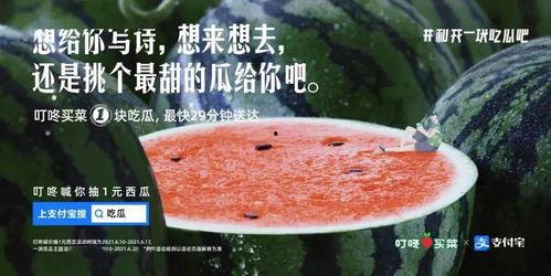 吃瓜诗文,品味人生百态,笑谈世间万象 第3张 吃瓜诗文,品味人生百态,笑谈世间万象 第3张