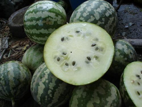 婴儿吃绿宝瓜,宝宝辅食新选择，营养美味两不误