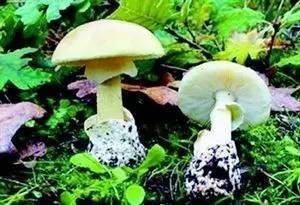 瑞金医院吃瓜  第2张