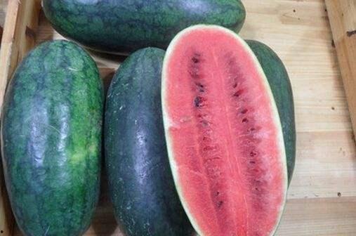 17吃瓜一起免费吃瓜,免费共享瓜界狂欢 第3张 17吃瓜一起免费吃瓜,免费共享瓜界狂欢 第3张