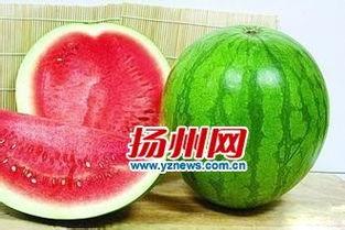 吃无籽瓜不好,为何吃无籽瓜可能不利健康  第3张