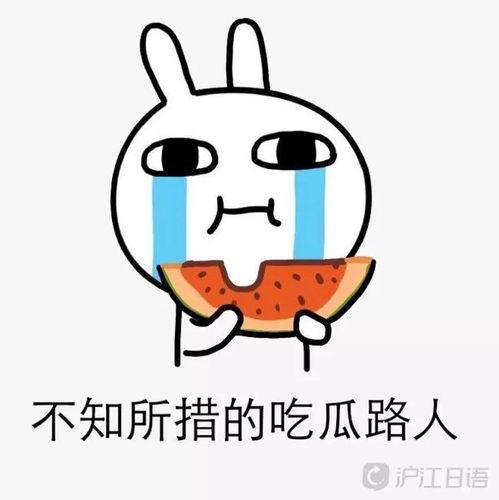 吃瓜 日文,吃瓜群众视角下的日本文化解读  第1张