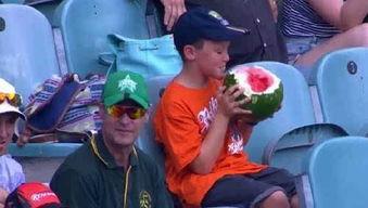 澳洲吃瓜男孩,揭秘网红背后的故事 第3张 澳洲吃瓜男孩,揭秘网红背后的故事 第3张