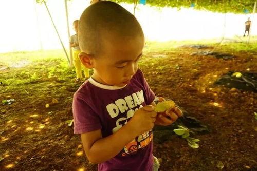 吃瓜园长,一场别开生面的田园生活盛宴  第2张