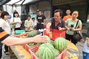 吃瓜园长,一场别开生面的田园生活盛宴  第3张