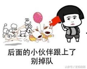 大八卦吃瓜,揭秘大八卦背后的吃瓜故事  第2张