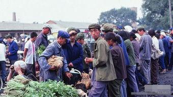 严打时期吃瓜,吃瓜群众的见证与反思 第3张 严打时期吃瓜,吃瓜群众的见证与反思 第3张