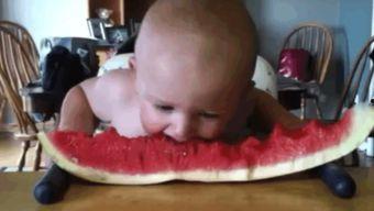 吃瓜婴儿图片可爱,吃瓜婴儿萌态十足，可爱指数爆表  第1张