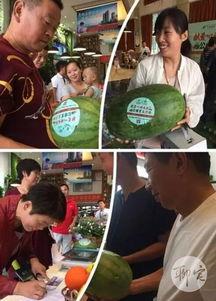 滨湖区吃瓜  第3张