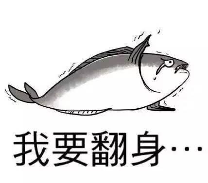 咸鱼小姐的吃瓜日常,揭秘娱乐圈幕后故事  第3张