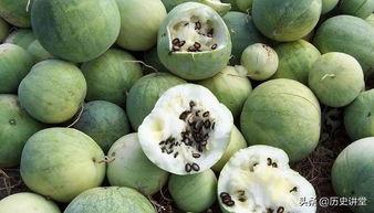 吃瓜群众自带瓜子,揭秘娱乐圈幕后风云  第3张