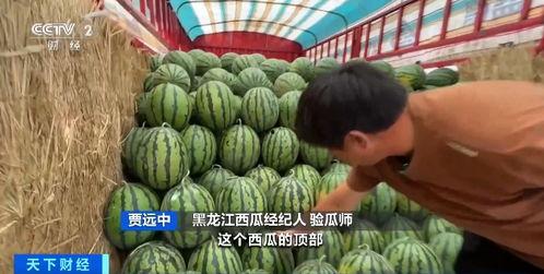 郓城吃瓜吧  第3张