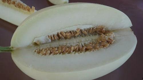 极品诗带你吃瓜,跟随极品诗篇探寻美食之旅