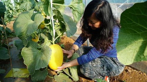 极品诗带你吃瓜,跟随极品诗篇探寻美食之旅  第2张
