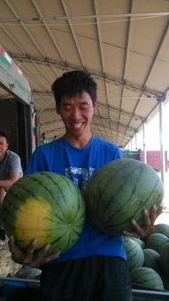 青州今日吃瓜事件 第2张 青州今日吃瓜事件 第2张