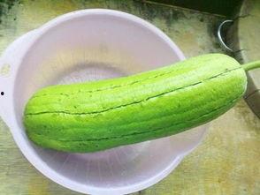 脑中风水瓜可以吃吗,揭秘其食用价值与注意事项