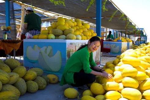 甘肃同城吃瓜,揭秘本地热门事件背后的故事  第3张