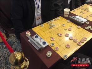 象棋吃瓜少年,揭秘棋坛新秀的崛起之路  第3张