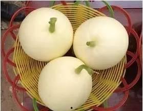 带你吃瓜买苹果,揭秘水果市场的那些事儿 第1张 带你吃瓜买苹果,揭秘水果市场的那些事儿 第1张