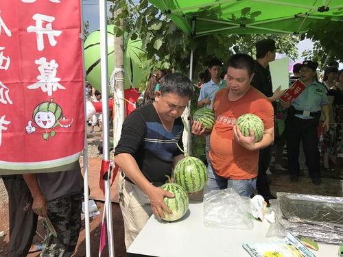现场围观吃瓜,吃瓜群众的狂欢盛宴 第1张 现场围观吃瓜,吃瓜群众的狂欢盛宴 第1张