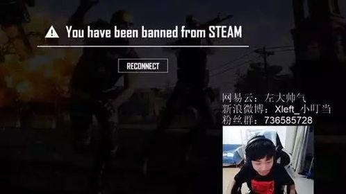 小叮当直播吃瓜,趣味横生瞬间引爆网友热议  第2张