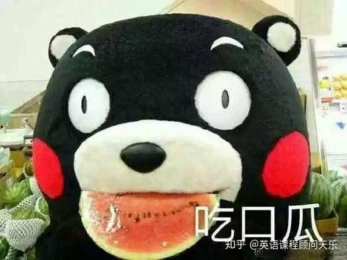 吃瓜什意思,揭秘“吃瓜群众”背后的网络文化现象 第3张 吃瓜什意思,揭秘“吃瓜群众”背后的网络文化现象 第3张