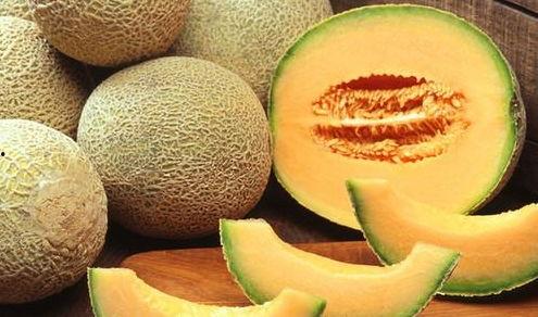 吃网纹哈密瓜视频,视频带你一探究竟 第3张 吃网纹哈密瓜视频,视频带你一探究竟 第3张