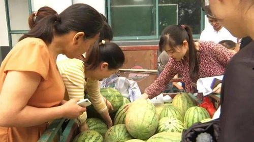 扶老人吃瓜,吃瓜群众围观下的道德拷问 第3张 扶老人吃瓜,吃瓜群众围观下的道德拷问 第3张