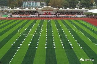 丽水学院操场吃瓜 第3张 丽水学院操场吃瓜 第3张