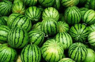 小莫吃瓜群,揭秘娱乐圈幕后故事 第3张 小莫吃瓜群,揭秘娱乐圈幕后故事 第3张