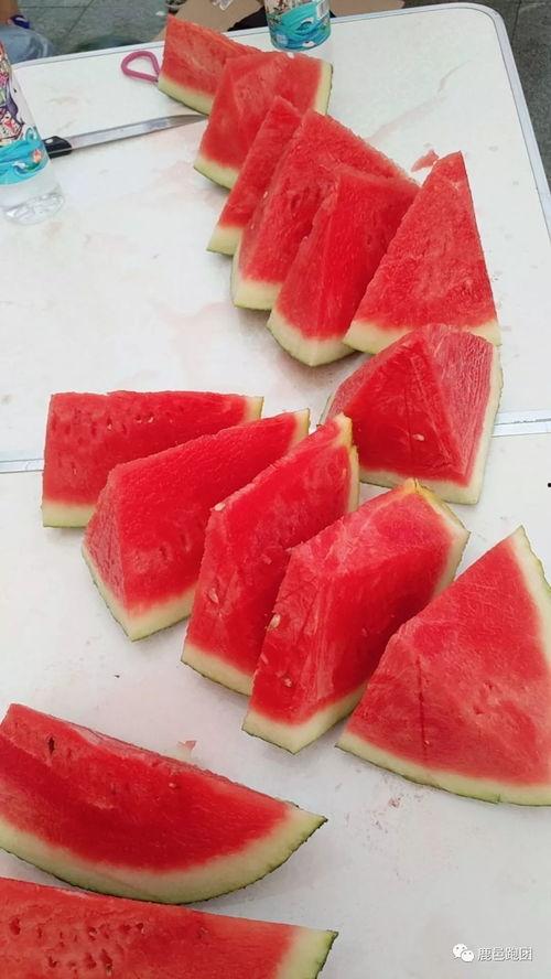 每日大赛吃瓜必吃大瓜,揭秘吃瓜必吃大瓜的精彩瞬间  第3张