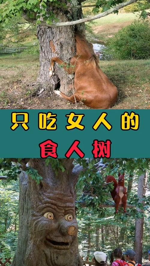 奇闻异事吃瓜网,吃瓜网带你探索神秘世界 第3张 奇闻异事吃瓜网,吃瓜网带你探索神秘世界 第3张