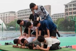 操场吃瓜事件,揭秘校园里的惊人真相 第2张 操场吃瓜事件,揭秘校园里的惊人真相 第2张