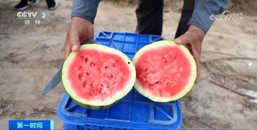 吃瓜群众类型的人,不同类型的人生百态  第3张