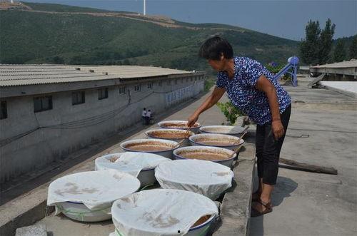 临沧吃瓜大妈,揭秘当地独特美食文化 第3张 临沧吃瓜大妈,揭秘当地独特美食文化 第3张