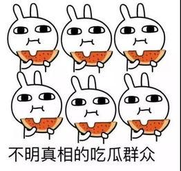 吃瓜发生的大事,揭秘幕后真相 第2张 吃瓜发生的大事,揭秘幕后真相 第2张