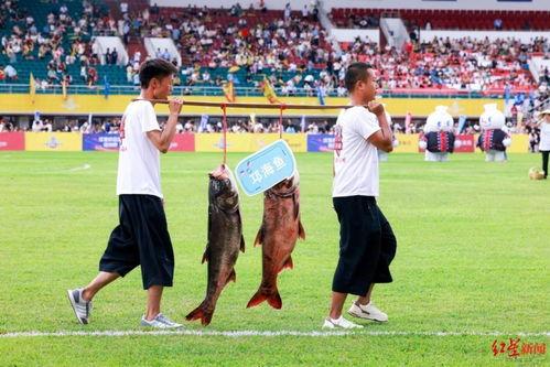 抖音球赛吃瓜,揭秘赛场背后的精彩瞬间 第2张 抖音球赛吃瓜,揭秘赛场背后的精彩瞬间 第2张