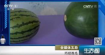 吃瓜不吐西瓜籽故事,揭秘瓜界传奇故事  第2张