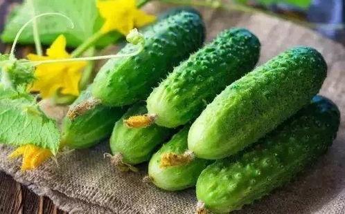 吃春瓜的好处 第2张 吃春瓜的好处 第2张