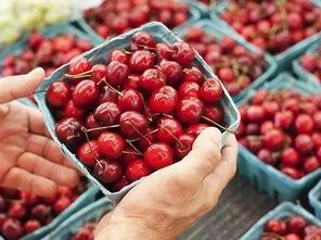 澳洲吃瓜小叮当 第3张 澳洲吃瓜小叮当 第3张