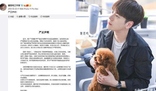 吃瓜魏哲鸣 第3张 吃瓜魏哲鸣 第3张