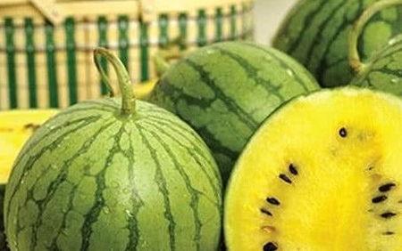 外国吃瓜vs中国吃瓜的区别,中外“吃瓜”文化差异大揭秘