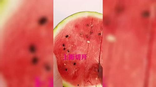 吃瓜不如吃西瓜什么意思,吃瓜不如吃西瓜,尽享清凉美味时光 第2张 吃瓜不如吃西瓜什么意思,吃瓜不如吃西瓜,尽享清凉美味时光 第2张