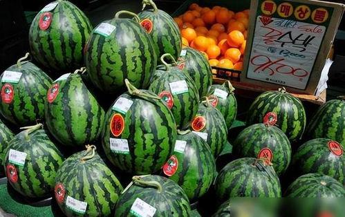 卖瓜吃冰棒特效 第3张 卖瓜吃冰棒特效 第3张