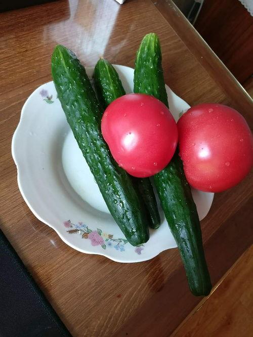 没事晒太阳吃瓜,没事晒太阳,悠然吃瓜度时光 第3张 没事晒太阳吃瓜,没事晒太阳,悠然吃瓜度时光 第3张