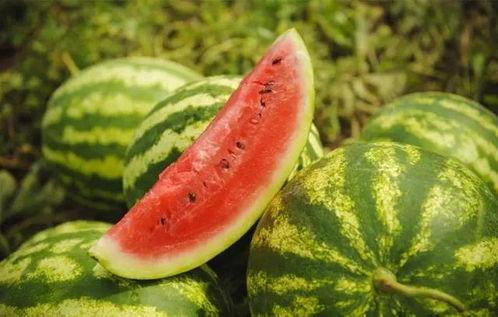 西瓜条过年吃瓜,西瓜条陪你过大年  第3张