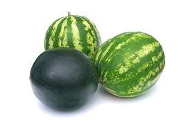 唐河吃瓜事件 第3张 唐河吃瓜事件 第3张