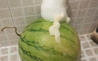 泡泡吃瓜地址 第2张 泡泡吃瓜地址 第2张